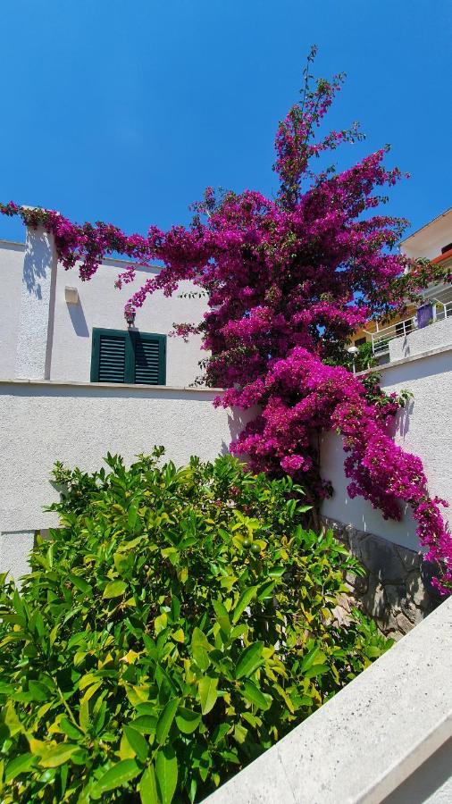 Apartman Filis Hvar Town Kültér fotó