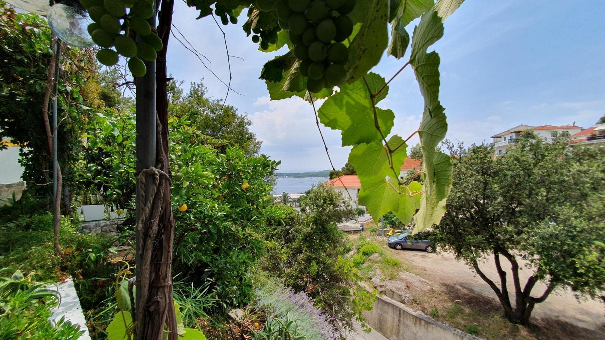 Apartman Filis Hvar Town Kültér fotó